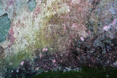 Eski bir duvarda çok renkli çatlak desenli alçı.
