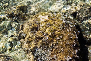 Deniz suyunun dokusu. Suda ışık refleksleri.