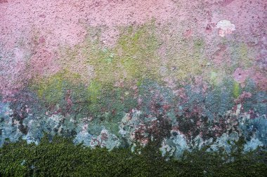 Eski bir duvarda çok renkli çatlak desenli alçı.