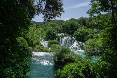 Yeşil yaz ormanlarının arasında şelale.