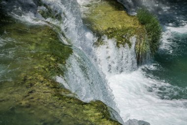 Yeşil yaz ormanlarının arasında şelale.