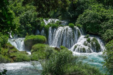 Yeşil yaz ormanlarının arasında şelale.