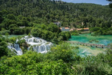 Yeşil yaz ormanlarının arasında şelale.