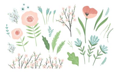 Set of spring floral design elements. Leaves, flowers, grass, branches Vector illustrations