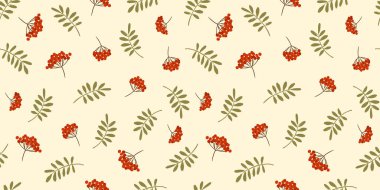 Rowan 'la sonbaharda pürüzsüz bir düzen. Çeşitli yüzey için vektör arkaplanı. El çizimi dokular.