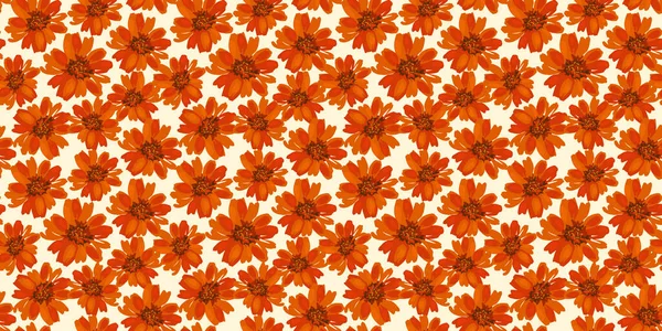 Autumn Seamless Pattern Flowers Vector Background Various Surface Hand Drawn — Stock Vector