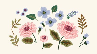 Çiçek tasarım elementleri seti. Yapraklar, çiçekler, çim dalları böğürtlen. Vektör illüstrasyonları