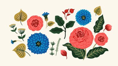 Çiçek tasarım elementleri seti. Yapraklar, çiçekler, çim dalları böğürtlen. Vektör illüstrasyonları