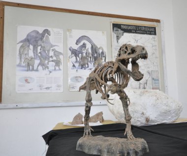 Marilia, So Paulo, Brezilya - 27 Ekim 2022: Marlial şehrindeki Paleontoloji Müzesi 'nin içi, küçük bir dinozorun kopyası ve sergisi ile yeni açıldı. Dinozorlarla birlikte arka plandaki posterlerde. Yazı