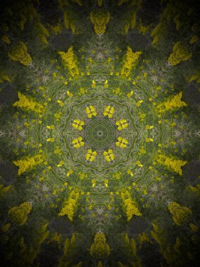 Geometrik şekillere dayanan ilginç fikirleri ifade eden dekoratif bir arkaplan oluşturmak için mandala tasarımı