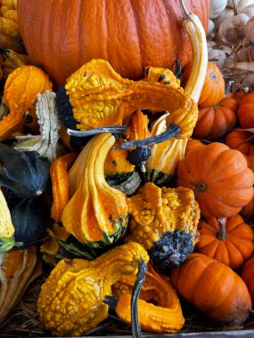 Delaware 'deki yerel çiftçi pazarından ürün almak yaz sonunun cömertliğini keşfetmek.