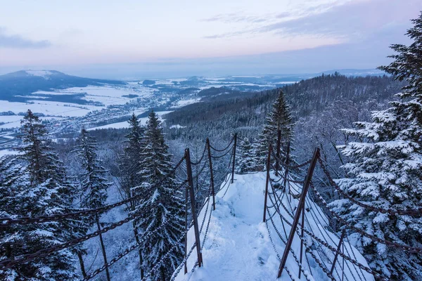 チェコ共和国イェセニーキ山脈のセルトヴィ カメニーの視点からの雪に覆われた木々や山々の眺め ロイヤリティフリーのストック写真