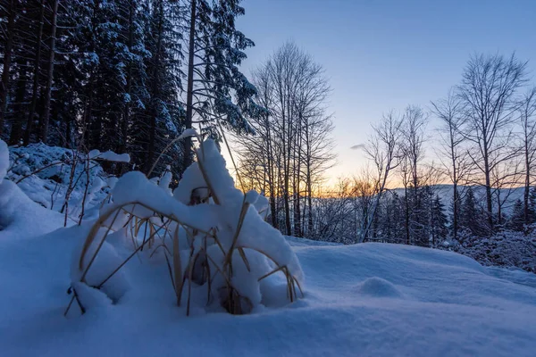Romantik Kış Manzarası Dağlarda Karlı Bir Patika Ağaçlar — Stok fotoğraf