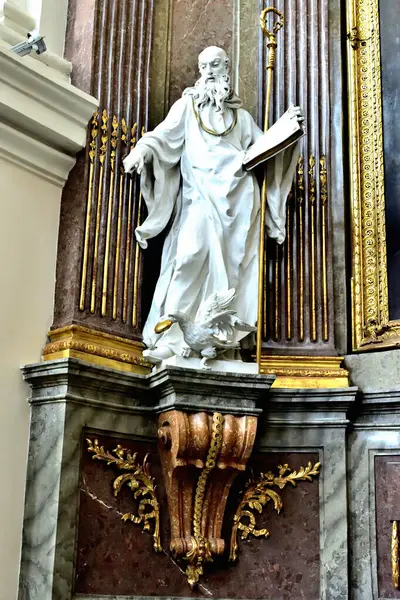 Statue Saint Gothic Cathedral Saint Peter Paul Brno — Stock Photo, Image
