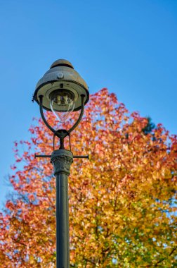 Berlin 'de, sonbahar yapraklı güneşli bir ağacın önündeki tarihi gaz feneri..