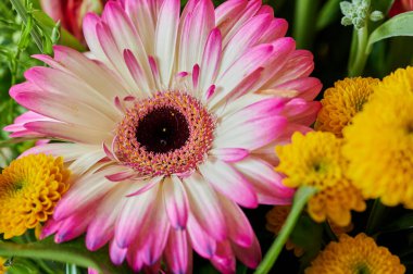 Renkli buket, mevsimlik bahçe çiçeklerinden yapılmıştır..