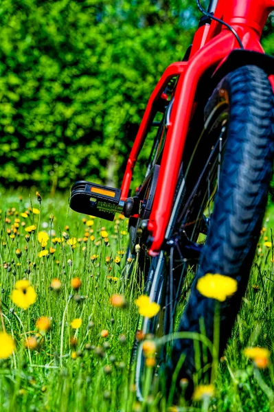 Widok Roweru Pedał Roweru Reflektorem Środku Łąki Kwiatowej Sfotografowany Nieostry — Zdjęcie stockowe