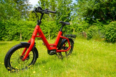 Berlin, Almanya - 22 Mayıs 2023: Çiçek çayırının ortasında kırmızı bisiklet.