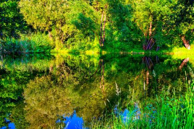 Bir köy göletinde ağaçların ve çalıların olduğu akşam manzarası yansıyor..