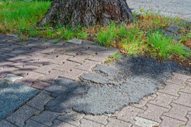 Berlin, Almanya 'da engebeli bir kenarı olan kötü onarılmış bisiklet yolu.