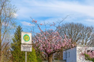 Okul otobüsleri için otobüs durağı. Çarşamba günleri saat yediden on ikiye kadar geçerliliği kısıtlı olan ek bilgilerle..