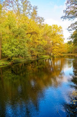 Berlin, Almanya 'da küçük bir derede güneşli bir sonbahar havası.