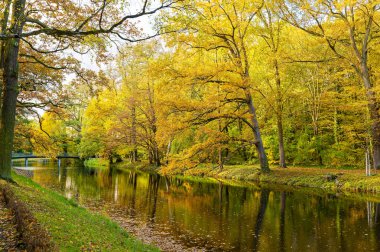 Berlin, Almanya 'da küçük bir derede güneşli bir sonbahar havası.