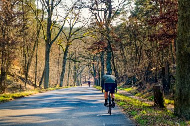 Berlin 'deki Havel nehri boyunca bir orman yolunda bisiklet sürüyorum..