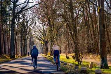 Berlin 'deki Havel nehri boyunca bir orman yolunda bisikletçiler..