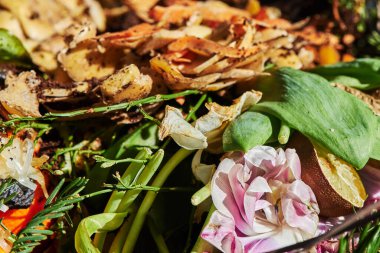 Geri dönüşüm için çeşitli organik atıkları olan bir biyo konteynıra bak.