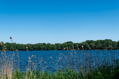Koyu mavi sularla karşı kıyıya bakan bir göl..