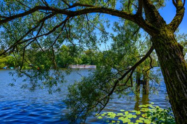 Berlin-Treptow 'daki Spree sahnesi Treptower Park' ın kıyısında çekildi..