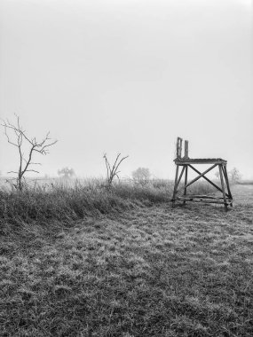Sisli bir tarlada, kışın donla kaplı yüksek bir koltuğun siyah beyaz fotoğrafı..