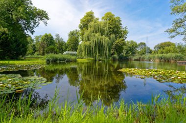 Ağaçların yansıdığı küçük bir gölete bakın, küçük bir çadıra..