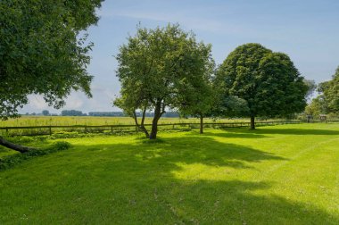 Ağaçlı bir çayıra bak.