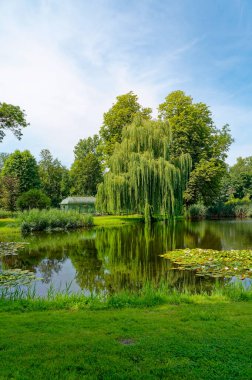 Ağaçların yansıdığı küçük bir gölete bakın, küçük bir çadıra..