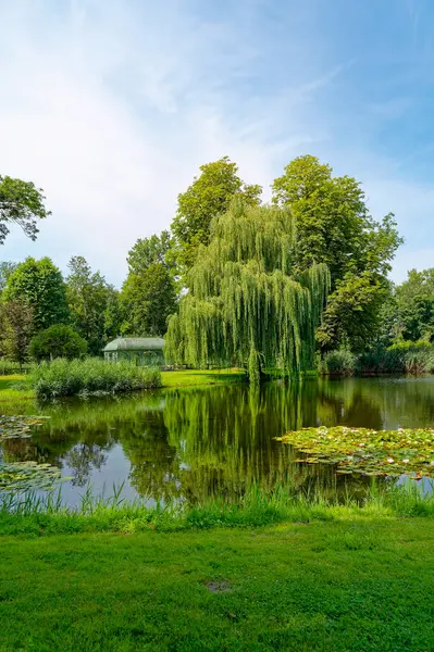 Ağaçların yansıdığı küçük bir gölete bakın, küçük bir çadıra..