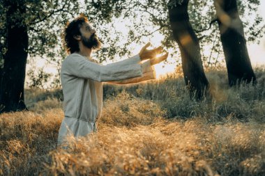Jesus Christ Alone in the Garden, Meditating and Praying