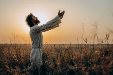 Jesus Christ  the Garden, Meditating and Praying