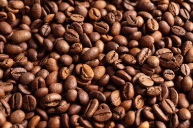 Kavrulmuş kahve çekirdekleri.