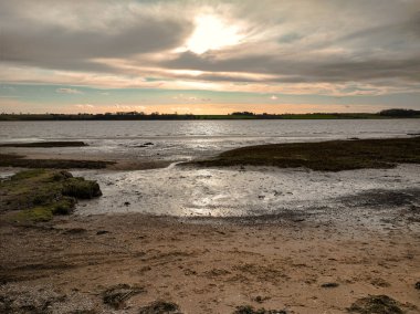 Quiet afternoon on the riverbank