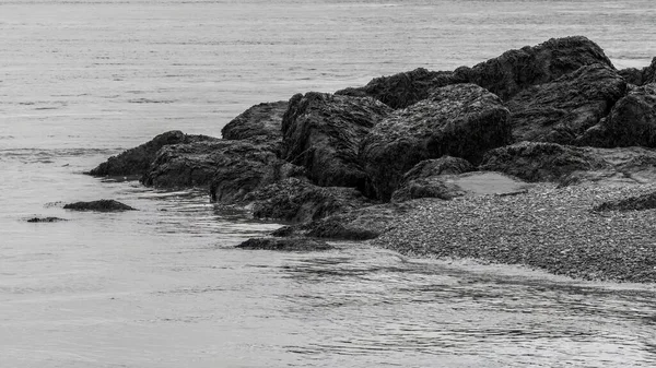 Морські Захисні Скелі Виставлені Низькому Припливі Чорно Білому — стокове фото