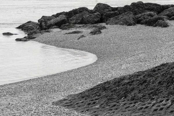 Kontrastní Textury Břehů Řek Moří Při Odlivu — Stock fotografie