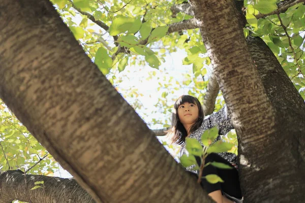 Niña Estudiante Japonesa Trepando Árbol Años — Foto de Stock