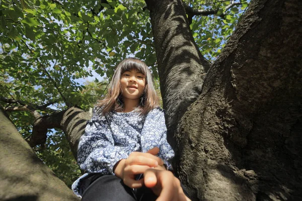 Menina Estudante Japonês Escalando Árvore Anos Idade — Fotografia de Stock