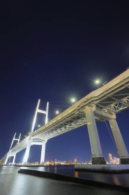 Yokohama bay bridge and Yokohama Minatomirai 21 in Kanagawa, Japan (view from Daikokufuto) (night scene)