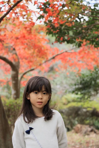 autumn leaves and Japanese student girl (8 years old)