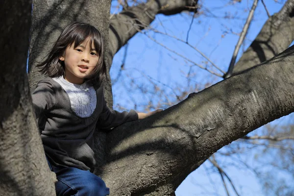 Γιαπωνέζα Φοιτήτρια Σκαρφαλώνει Στο Δέντρο Ετών — Φωτογραφία Αρχείου