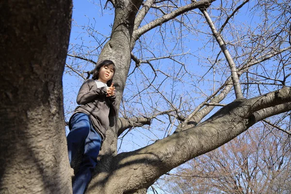 Niña Estudiante Japonesa Trepando Árbol Años — Foto de Stock
