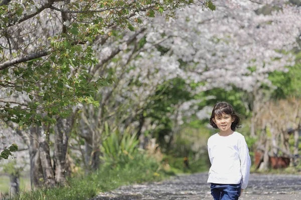 Japonská Studentka Třešňové Květy Let — Stock fotografie